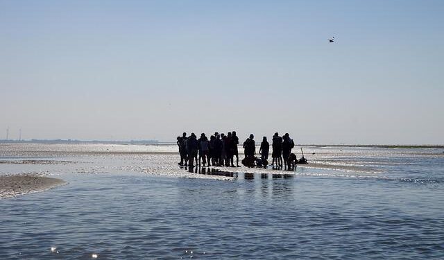 Unlocking the Secrets of Homeownership: Explore the Latest Trends in Median Home Values for 2020 Island Areas!