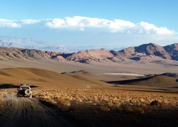 Argentina 2025: A Glimpse into the Future of Its Economic Landscape