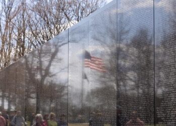 Against All Odds: American Tourist Triumphs After Shark Attack in The Bahamas!