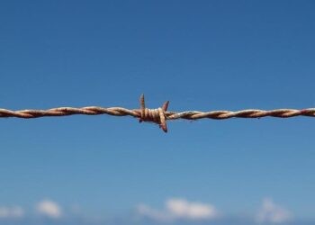 Unveiling the Mysteries of Surrealist Refugees Amidst Lush Tropical Landscapes