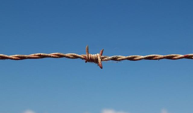 Unveiling the Mysteries of Surrealist Refugees Amidst Lush Tropical Landscapes