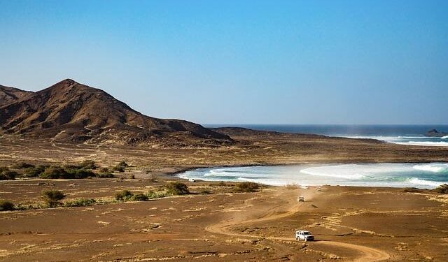 Unlocking the Secrets: The Real Story Behind Guyana’s BPO Challenges!