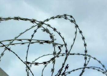 Fortifying Our Shores: The Critical Need for Enhanced Border Security in the U.S. Virgin Islands