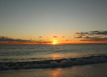 South Florida Lawmakers Call for Action to Curb Illegal Weapons Flow into Haiti