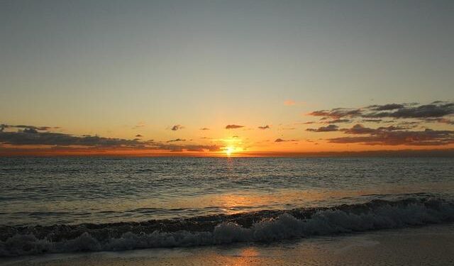 South Florida Lawmakers Call for Action to Curb Illegal Weapons Flow into Haiti