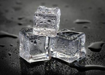 U.S. Citizens Caught in the Crossfire: Shocking DEA Raid Rocks Colorado Springs