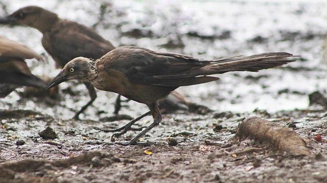 Nicaraguan Governor Seizes Control of Catholic School Amidst Controversial Allegations