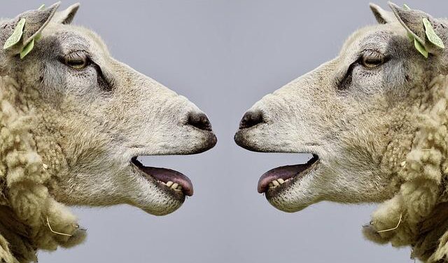 Venezuela’s Cartel de los Soles Declared a Terrorist Organization as USS Gerald R. Ford Enters Caribbean Waters