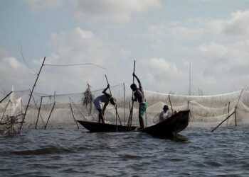Benin Celebrates Heritage: Granting Citizenship to Descendants of Enslaved Ancestors