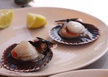 Copiapó Pioneers the Future: The First City in Chile and South America to Embrace 100% Electric Public Transport!