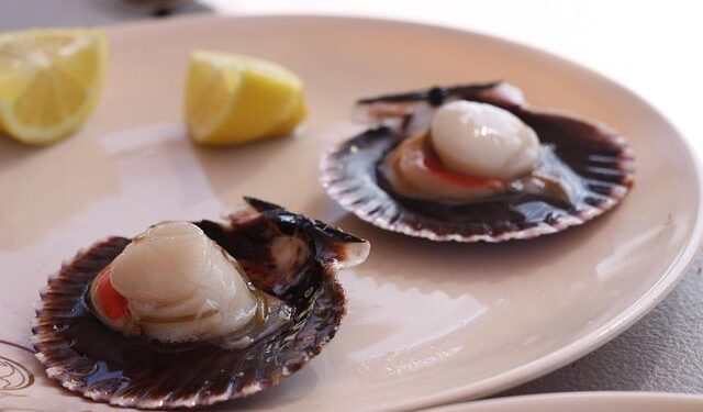 Copiapó Pioneers the Future: The First City in Chile and South America to Embrace 100% Electric Public Transport!