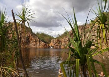 Uncover Alabama’s Best-Kept Secret: A Must-Visit Swimming Hole!