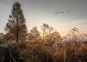 Discover the Hidden Gems of USAFA: Your Ultimate Visitor’s Guide!
