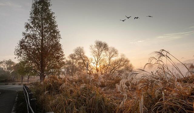 Discover the Hidden Gems of USAFA: Your Ultimate Visitor’s Guide!
