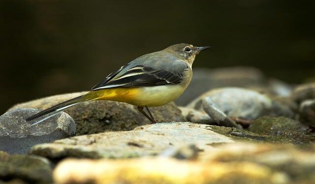 Natura Launches Thrilling Sale of Avon Operations in Central America and the Dominican Republic!