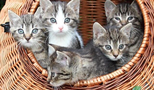 Revolutionizing the Workplace: Innovative Strategies for a Brighter Future