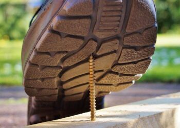 Exploring the World’s Zika Virus Hotspots: Where the Threats Are Rising