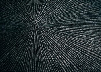 Mainers Stunned by Mysterious Swirling Object in the Sky Following South American Rocket Launch!