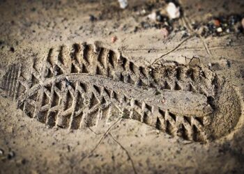 Exposing the Cartel de los Soles: The Latest Group Designated as ‘Terrorist’ by the U.S