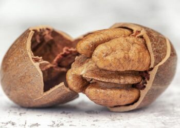 Auston Matthews Leads Team USA into an Epic 4 Nations Showdown!