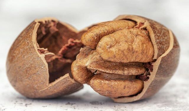 Auston Matthews Leads Team USA into an Epic 4 Nations Showdown!