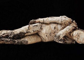 From Home to Heartbreak: The Shocking Story of a Man’s Wrongful Deportation to El Salvador