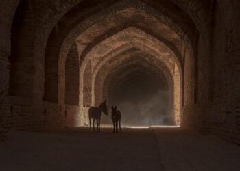 Discover the Magic of Nature: Your Ultimate Guide to National Park Entrance Passes!