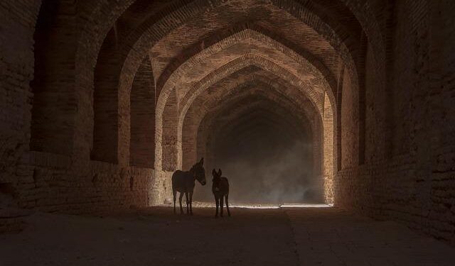 Discover the Magic of Nature: Your Ultimate Guide to National Park Entrance Passes!