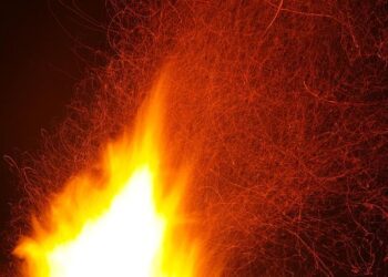 High Stakes and Intense Showdowns: Play Suspended at the Latin America Amateur Championship!