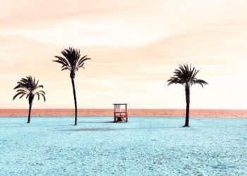 Exploring America’s Hidden Struggles: The Impact of Loneliness and Isolation