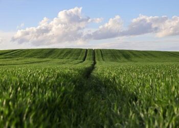 Discovering the Bountiful Agricultural Treasures of Arkansas