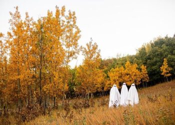 Spooky Surprise: Police Uncover Suspected Cocaine Hidden in Halloween Bucket!