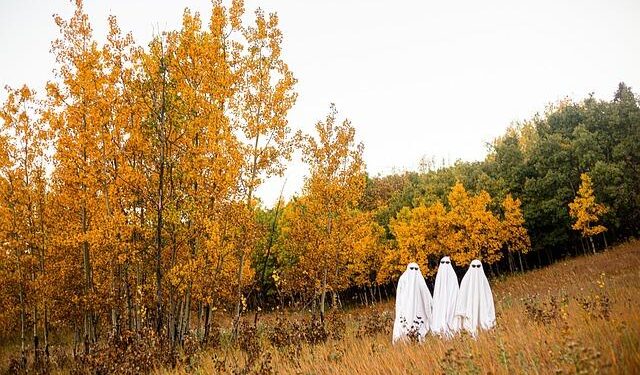 Spooky Surprise: Police Uncover Suspected Cocaine Hidden in Halloween Bucket!