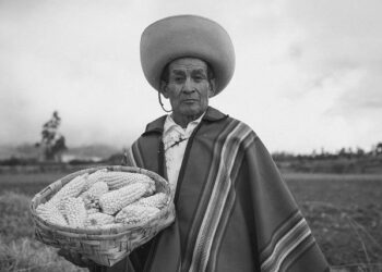 Renowned Indigenous Storyteller Sets the Record Straight: ‘I Am Not Cherokee