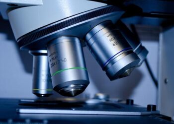 Unleashing Innovation: Ecuador’s Fight Against the Banana-Wilting Fungus!