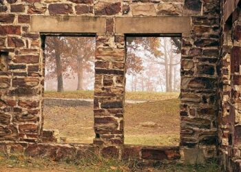 University of Arkansas Shines Bright: A Top 100 Public University in the U.S.!