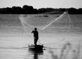 Grenada Overhauls Fisheries Laws to Align with US Marine Mammal Standards