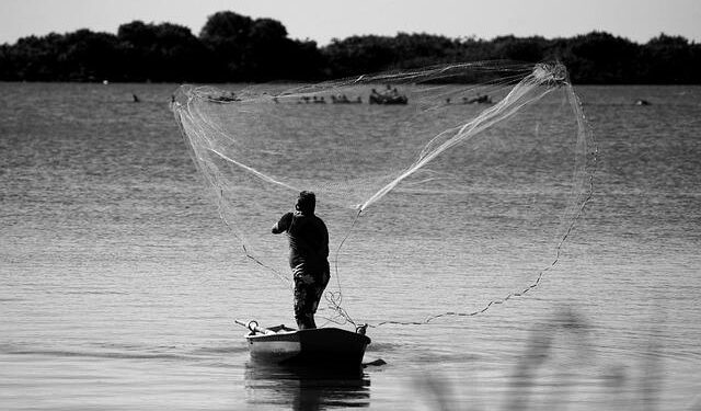 Grenada Overhauls Fisheries Laws to Align with US Marine Mammal Standards