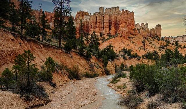 USA vs. Jamaica: A Legendary Clash in Track & Field!