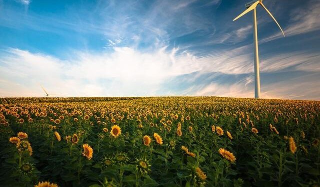 Renewable Energy Revolution in French Guiana: A Bold Step Forward or a Missed Opportunity?