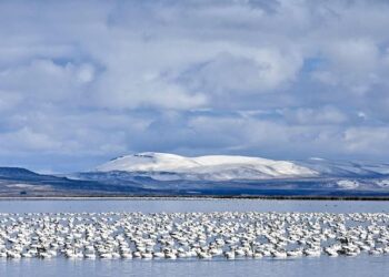Unlocking Alaska’s Wildlife Refuge: The Dawn of a New Era in Oil and Gas Exploration!