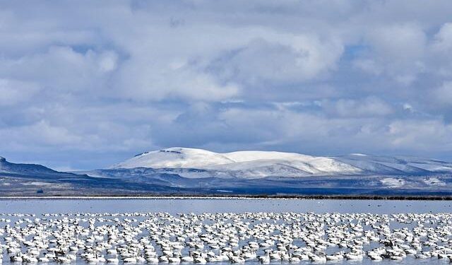 Unlocking Alaska’s Wildlife Refuge: The Dawn of a New Era in Oil and Gas Exploration!