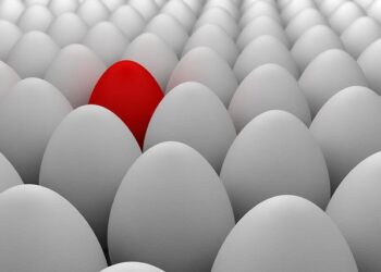 KLM Launches Thrilling New Flight Routes for 2026: Discover Exciting Destinations in the US, Canada, Barbados, and More!