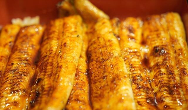 Unveiling the Truth: Nearly 40% of Grilled Eel in Japan Is Actually American Eel!