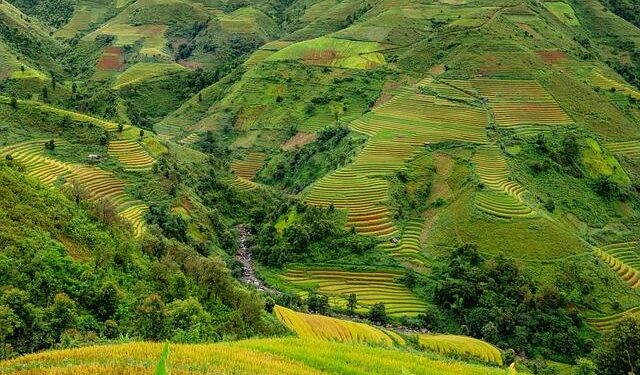 Discovering the Heart of South America’s Rice Culture: A Journey with the 2025 International Rice Leadership Class