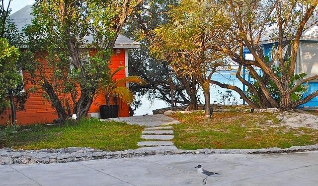 Tragic Incident: Two US Tourists Drown at Carnival Cruise’s New Bahamas Resort Just Hours After Arrival