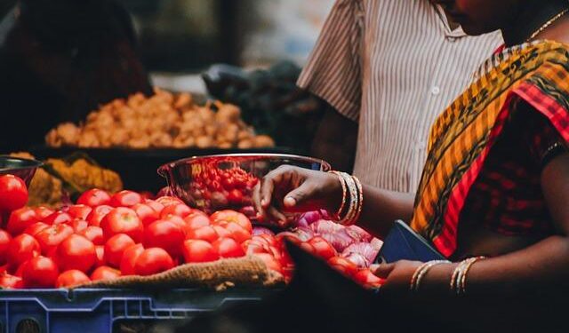 Transforming Lives: Alcasa’s Revolutionary Support for Nicaragua’s Cassava Farmers