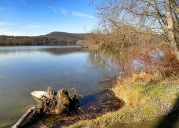 Scarlett Hadley Ready to Dazzle at the Junior Pan American Games for St. Vincent and the Grenadines!