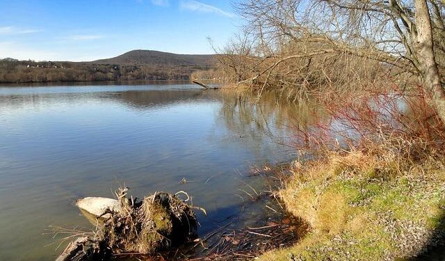 Scarlett Hadley Ready to Dazzle at the Junior Pan American Games for St. Vincent and the Grenadines!