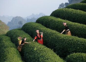 Crossing Boundaries: A Transformative Journey Along America’s Frontlines